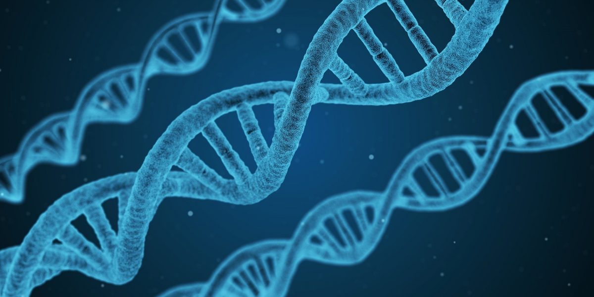 New Evidence Supporting Genetic Testing of Embryos
